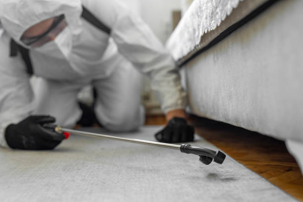 Professional Bed Bug Control technician working in Johnson County County, AR